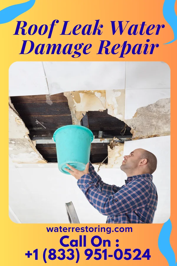 Roof Leak Water Damage Repair in Benedict, ND