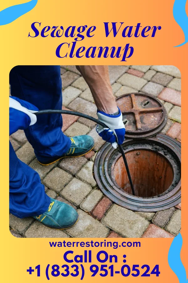Sewage Water Cleanup in Benedict, ND